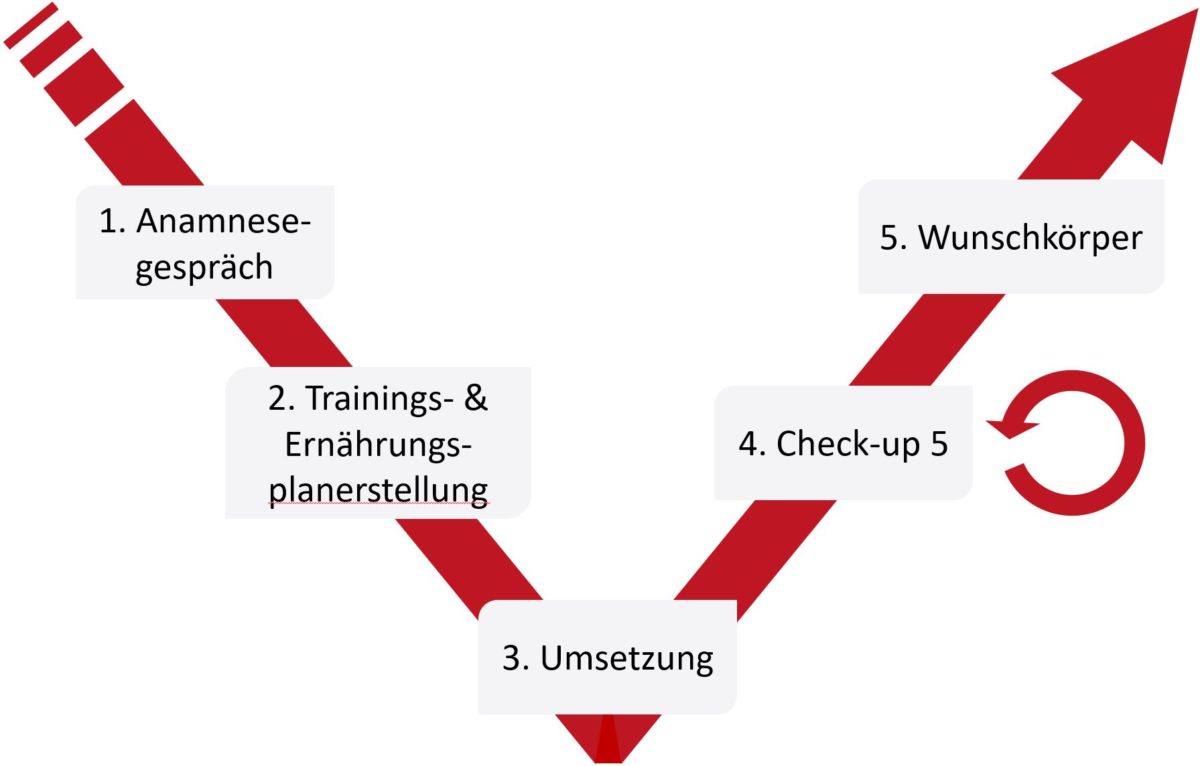 Five Elements V-System Ablauf